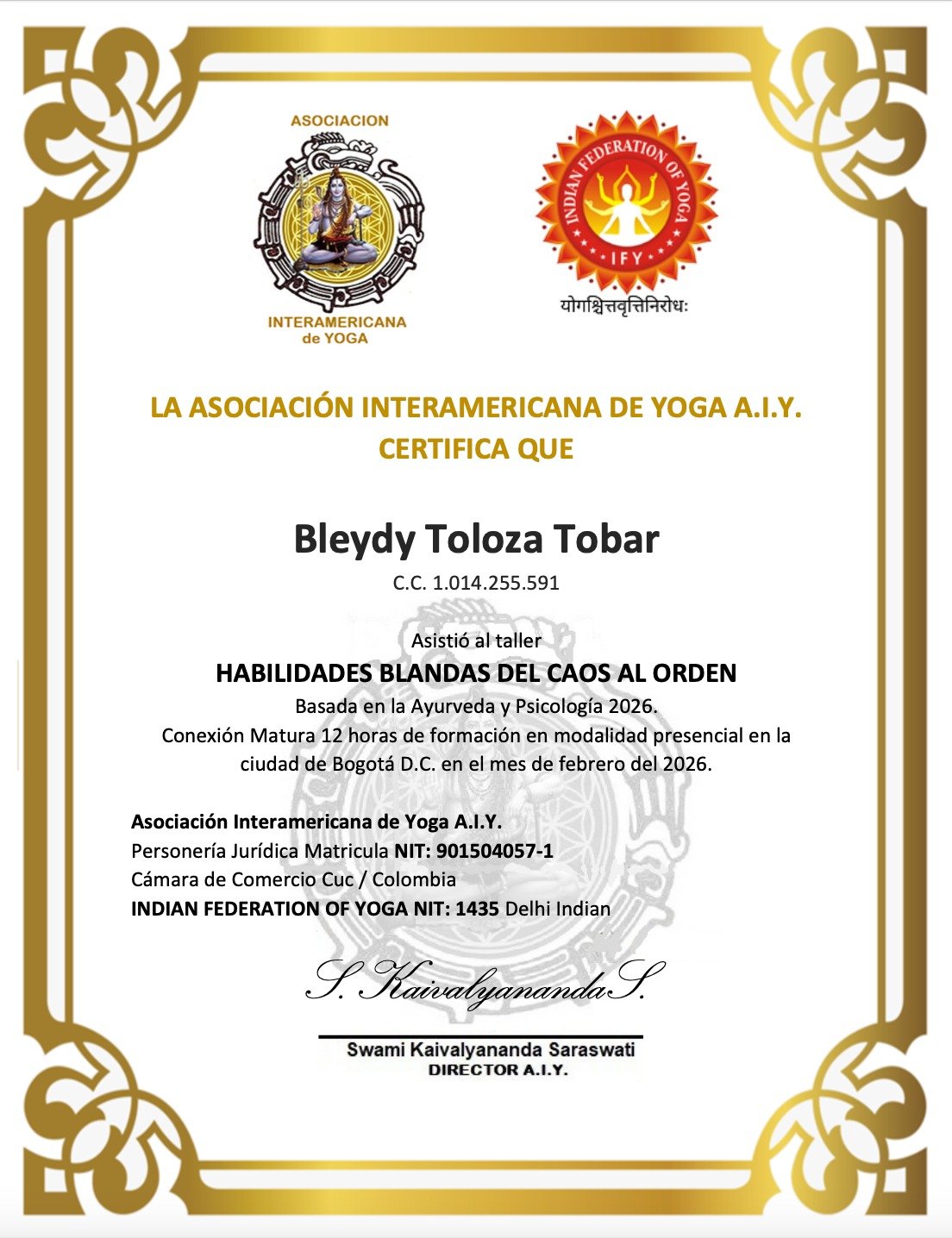 Certificado del programa Del Caos al Orden